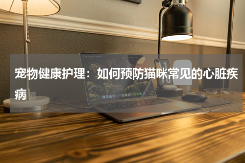 宠物健康护理:如何预防猫咪常见的心脏疾病