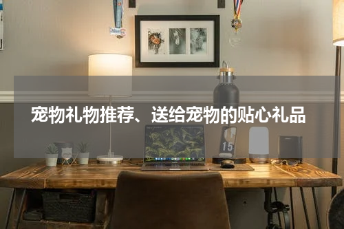  宠物礼物推荐、送给宠物的贴心礼品
