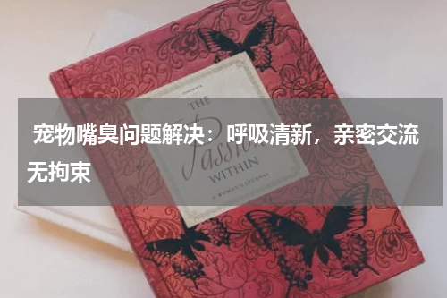  宠物嘴臭问题解决：呼吸清新，亲密交流无拘束