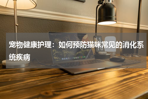 宠物健康护理:如何预防猫咪常见的消化系统疾病