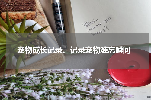 宠物成长记录、记录宠物难忘瞬间