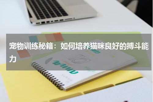 宠物训练秘籍:如何培养猫咪良好的搏斗能力