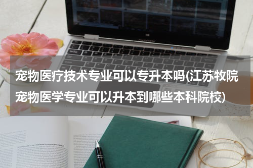 宠物医疗技术专业可以专升本吗(江苏牧院宠物医学专业可以升本到哪些本科院校)
