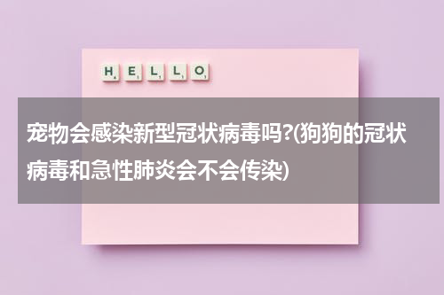 宠物会感染新型冠状病毒吗?(狗狗的冠状病毒和急性肺炎会不会传染)