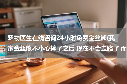 宠物医生在线咨询24小时免费金丝熊(我家金丝熊不小心摔了之后 现在不会走路了 而且头一直向上翘底不下去 怎么办会自己好吗 还是快)