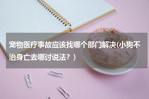 宠物医疗事故应该找哪个部门解决(小狗不治身亡去哪讨说法？)