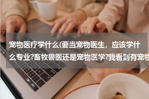 宠物医疗学什么(要当宠物医生，应该学什么专业?畜牧兽医还是宠物医学?我看到有宠物医院说是要畜牧兽医?)