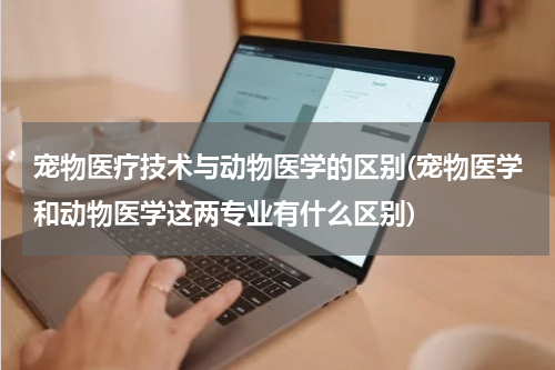 宠物医疗技术与动物医学的区别(宠物医学和动物医学这两专业有什么区别)