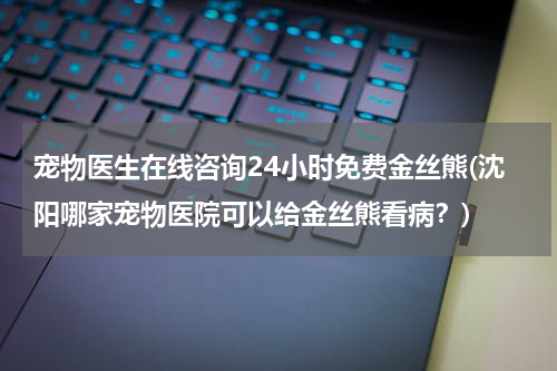 宠物医生在线咨询24小时免费金丝熊(沈阳哪家宠物医院可以给金丝熊看病?)