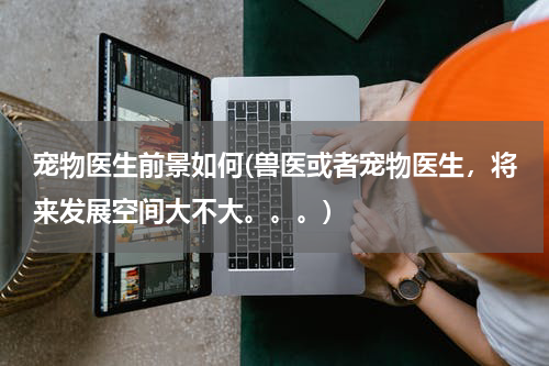 宠物医生前景如何(兽医或者宠物医生,将来发展空间大不大。。。)