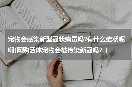 宠物会感染新型冠状病毒吗?有什么症状呢啊(网购活体宠物会被传染新冠吗?)