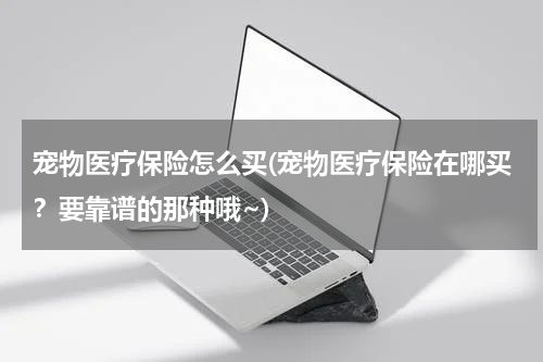 宠物医疗保险怎么买(宠物医疗保险在哪买？要靠谱的那种哦~)