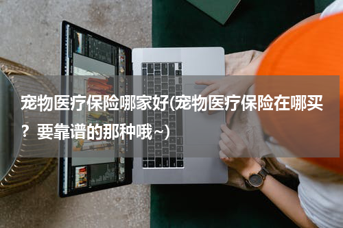 宠物医疗保险哪家好(宠物医疗保险在哪买？要靠谱的那种哦~)