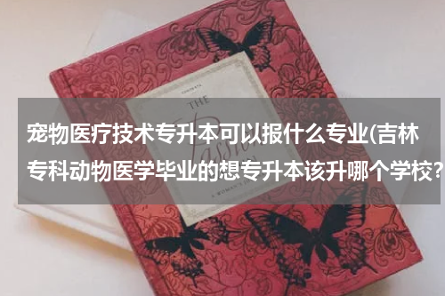 宠物医疗技术专升本可以报什么专业(吉林专科动物医学毕业的想专升本该升哪个学校？)