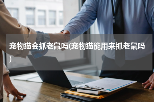 宠物猫会抓老鼠吗(宠物猫能用来抓老鼠吗)