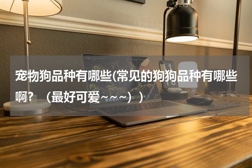 宠物狗品种有哪些(常见的狗狗品种有哪些啊?(最好可爱~~~))