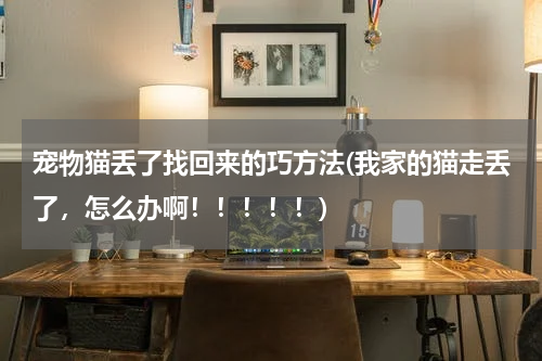 宠物猫丢了找回来的巧方法(我家的猫走丢了，怎么办啊！！！！！)