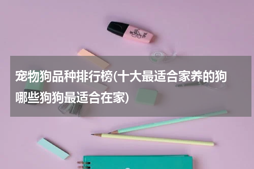 宠物狗品种排行榜(十大最适合家养的狗 哪些狗狗最适合在家)