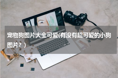 宠物狗图片大全可爱(有没有超可爱的小狗图片?)