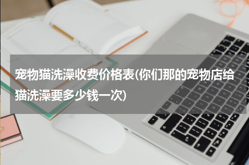 宠物猫洗澡收费价格表(你们那的宠物店给猫洗澡要多少钱一次)