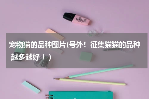 宠物猫的品种图片(号外!征集猫猫的品种 越多越好 !)