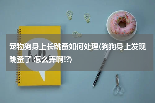 宠物狗身上长跳蚤如何处理(狗狗身上发现跳蚤了 怎么弄啊!?)