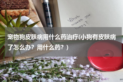 宠物狗皮肤病用什么药治疗(小狗有皮肤病了怎么办？用什么药？)