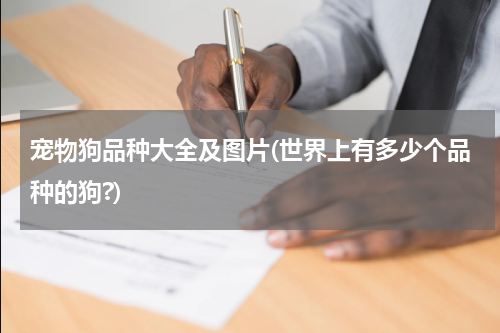 宠物狗品种大全及图片(世界上有多少个品种的狗?)