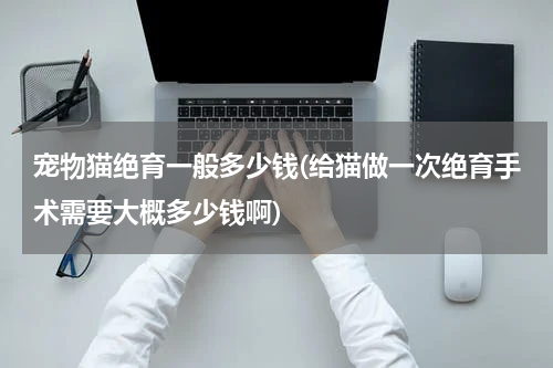 宠物猫绝育一般多少钱(给猫做一次绝育手术需要大概多少钱啊)