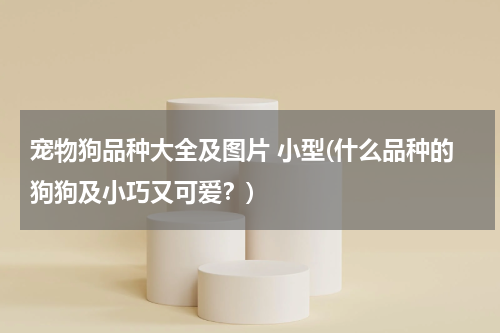 宠物狗品种大全及图片 小型(什么品种的狗狗及小巧又可爱?)
