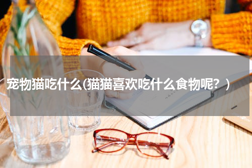 宠物猫吃什么(猫猫喜欢吃什么食物呢?)