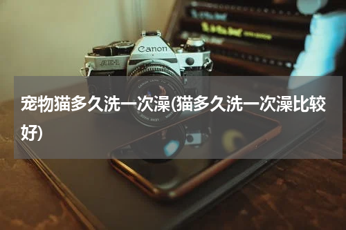 宠物猫多久洗一次澡(猫多久洗一次澡比较好)