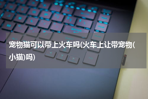 宠物猫可以带上火车吗(火车上让带宠物(小猫)吗)