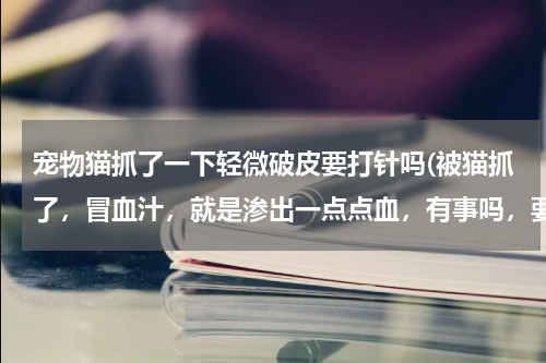 宠物猫抓了一下轻微破皮要打针吗(被猫抓了,冒血汁,就是渗出一点点血,有事吗,要打针吗)