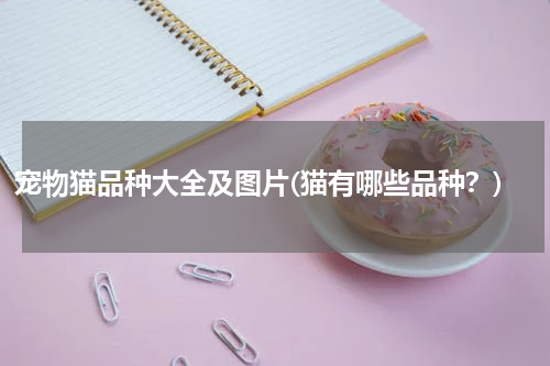 宠物猫品种大全及图片(猫有哪些品种?)