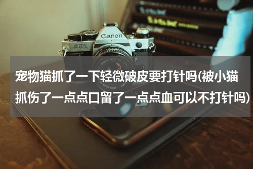 宠物猫抓了一下轻微破皮要打针吗(被小猫抓伤了一点点口留了一点点血可以不打针吗)