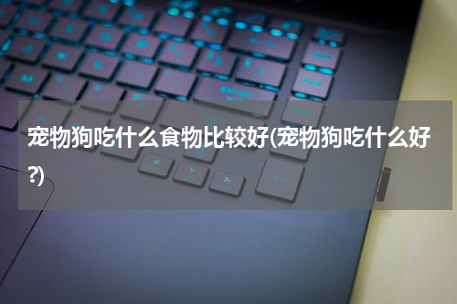 宠物狗吃什么食物比较好(宠物狗吃什么好?)