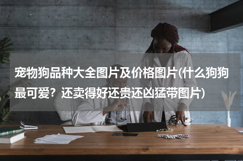 宠物狗品种大全图片及价格图片(什么狗狗最可爱?还卖得好还贵还凶猛带图片)