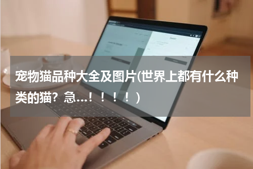 宠物猫品种大全及图片(世界上都有什么种类的猫?急…!!!!)