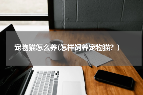 宠物猫怎么养(怎样饲养宠物猫？)