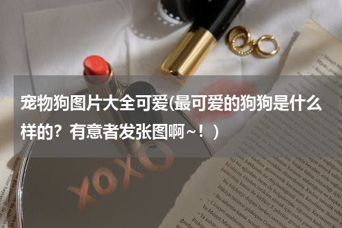宠物狗图片大全可爱(最可爱的狗狗是什么样的?有意者发张图啊~!)