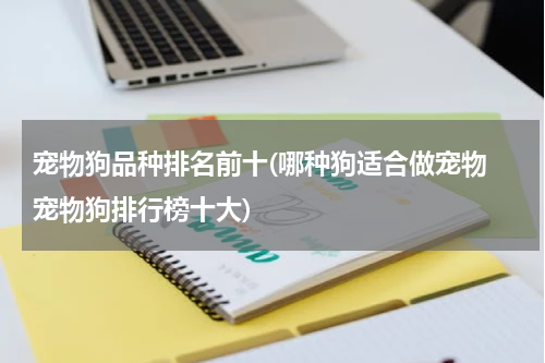 宠物狗品种排名前十(哪种狗适合做宠物 宠物狗排行榜十大)