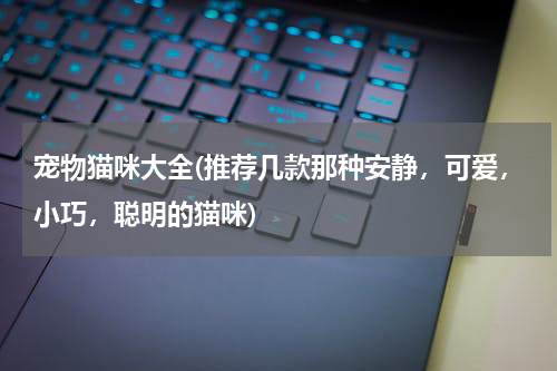 宠物猫咪大全(推荐几款那种安静，可爱，小巧，聪明的猫咪)