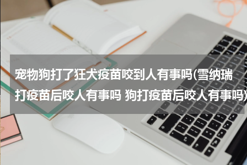 宠物狗打了狂犬疫苗咬到人有事吗(雪纳瑞打疫苗后咬人有事吗 狗打疫苗后咬人有事吗)