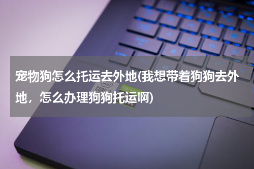 宠物狗怎么托运去外地(我想带着狗狗去外地,怎么办理狗狗托运啊)