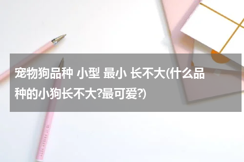 宠物狗品种 小型 最小 长不大(什么品种的小狗长不大?最可爱?)