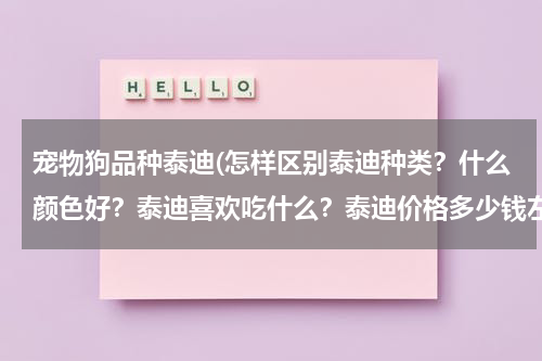 宠物狗品种泰迪(怎样区别泰迪种类?什么颜色好?泰迪喜欢吃什么?泰迪价格多少钱左右)