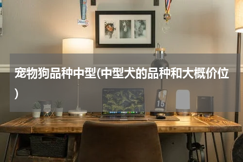 宠物狗品种中型(中型犬的品种和大概价位)