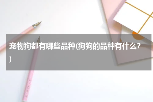 宠物狗都有哪些品种(狗狗的品种有什么？)