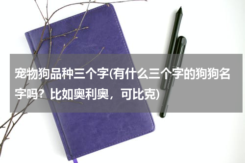 宠物狗品种三个字(有什么三个字的狗狗名字吗?比如奥利奥,可比克)